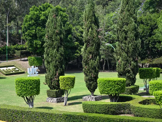 Universidad Intercontinental — Jardines que cuidan la vida del campus